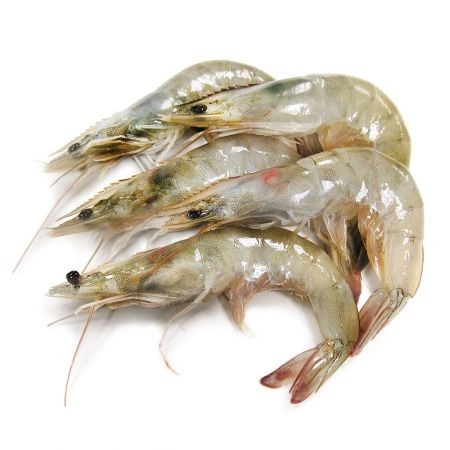 Tray Shrimp
