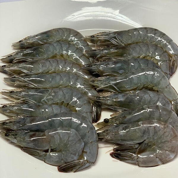 SHRIMP WITH HEAD